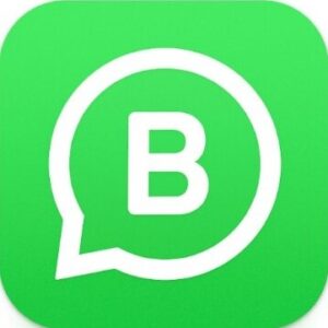 logo de whatsapp business